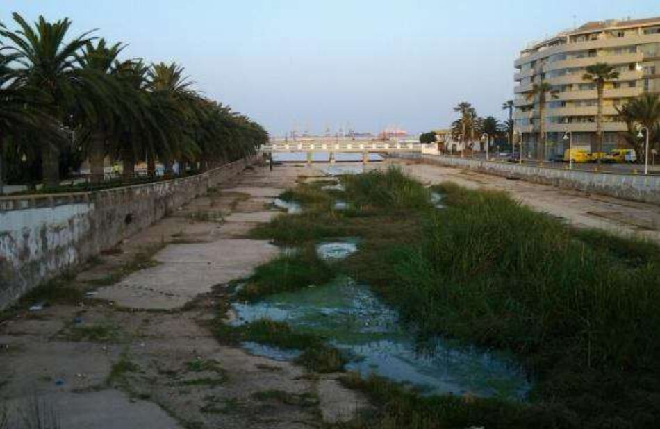 Ecologistas en Acción exigen paralizar la eliminación de la vegetación de ribera en ríos y arroyos por parte de la Consejería de Medio Ambiente de Melilla