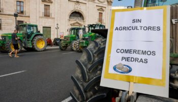 UED denuncia la complicidad del PP con el desmantelamiento de la agricultura y la industria Extremeña tras el acuerdo Mercosur con la UE