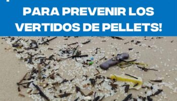 Un año después del vertido de pélets en Galicia, la contaminación por microplásticos sigue siendo un desafío urgente