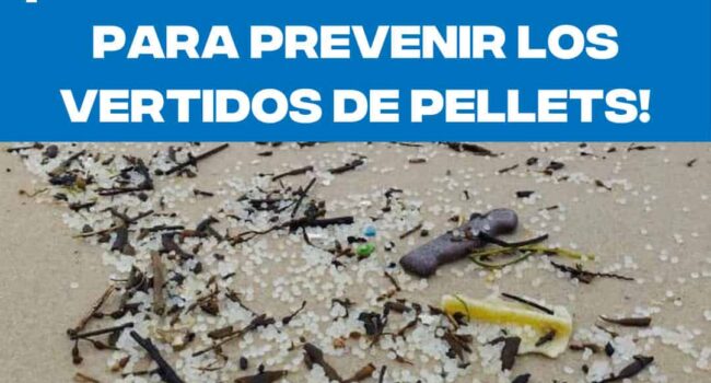 Un año después del vertido de pélets en Galicia, la contaminación por microplásticos sigue siendo un desafío urgente