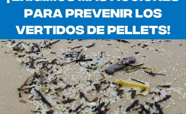 Un año después del vertido de pélets en Galicia, la contaminación por microplásticos sigue siendo un desafío urgente