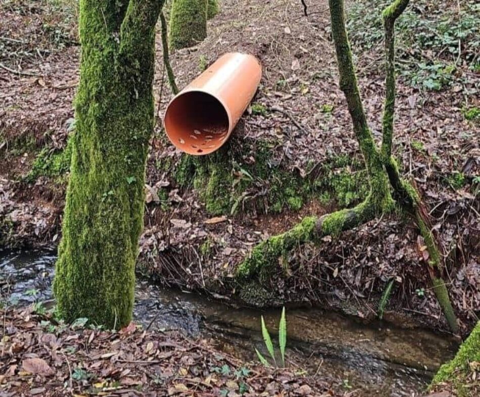 Augas de Galicia recoñece a contaminación por metais pesados procedente da mina de Touro