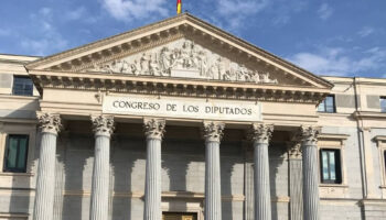 El presidente de PACMA se concentra frente al Congreso para exigir la bajada del IVA veterinario