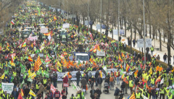 Els Comuns demanen al Parlament declarar el seu rebuig a l’acord UE-Mercosur