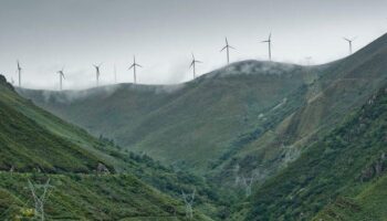 Los principales grupos ecologistas reclaman al Gobierno que retire definitivamente la peligrosa tramitación ambiental exprés de renovables