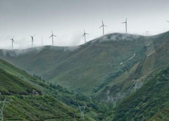 Los principales grupos ecologistas reclaman al Gobierno que retire definitivamente la peligrosa tramitación ambiental exprés de renovables