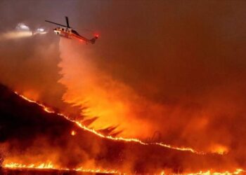 Activistas de EEUU culpan a Israel por los incendios en Los Ángeles