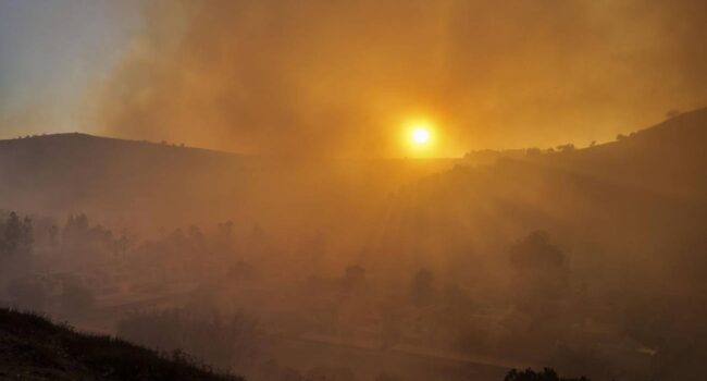 2024 fue el primero en que se superaron los 1,5 °C, el número que asusta a la ciencia