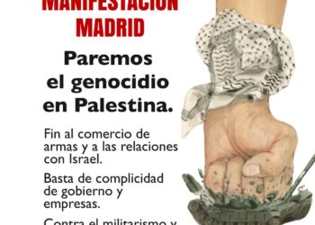 13ª Movilización estatal por Palestina, del 18 al 26 de enero de 2025