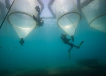 Aumentar la alcalinidad oceánica para eliminar dióxido de carbono del aire