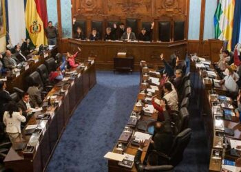 Bolivia espera promulgación de Ley de Distribución de Escaños