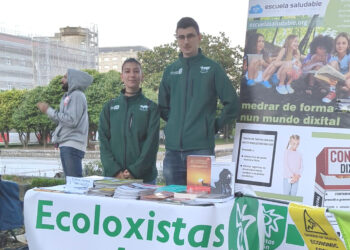 Ecoloxistas en Acción e Adolescencia Libre de Smartphones (ALS) apoian a manifestación en defensa dos servizos públicos