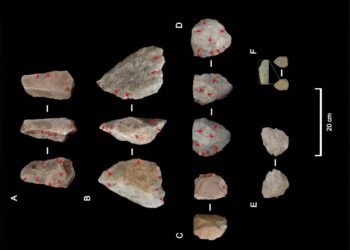 El ‘Homo erectus’ se adaptó a condiciones climáticas extremas hace un millón de años