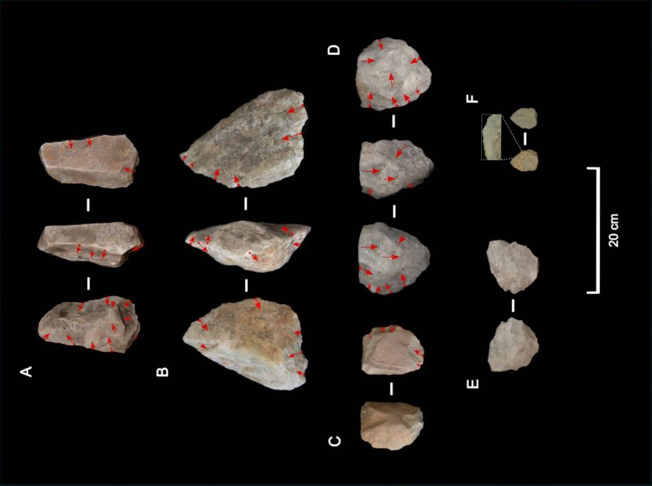 El ‘Homo erectus’ se adaptó a condiciones climáticas extremas hace un millón de años