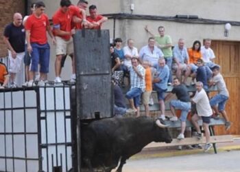 La plataforma antitaurina de la Comunidad Valenciana acusa a los taurinos de Albal de aprovecharse de las víctimas de la DANA