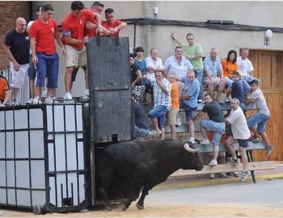 La plataforma antitaurina de la Comunidad Valenciana acusa a los taurinos de Albal de aprovecharse de las víctimas de la DANA