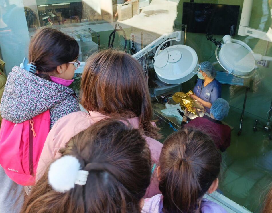 Casi 14.000 personas participaron en el programa de educación ambiental de GREFA en 2024