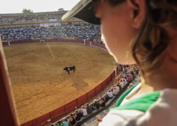 El gobierno Algecireño (PP) pretende vender un espectáculo de sangre como acto benéfico