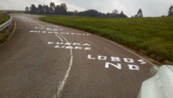 «No se puede permitir tanto salvajismo en Ponga con el lobo»