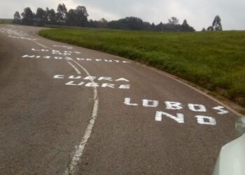 «No se puede permitir tanto salvajismo en Ponga con el lobo»