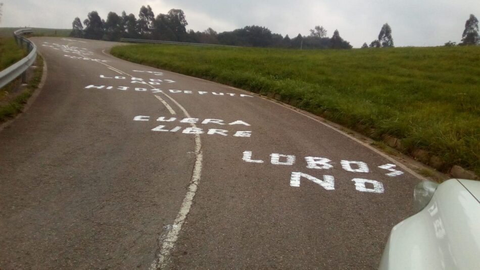 «No se puede permitir tanto salvajismo en Ponga con el lobo»