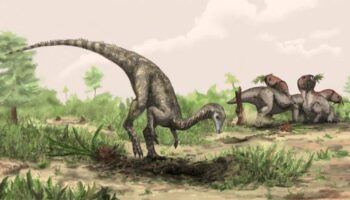 Reescriben la historia de los dinosaurios: son mucho más antiguos de lo que se pensaba