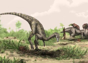 Reescriben la historia de los dinosaurios: son mucho más antiguos de lo que se pensaba