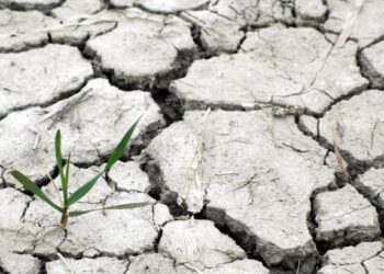 Entrevista al profesor y escritor Matthew T. Huber. El cambio climático como lucha de clases