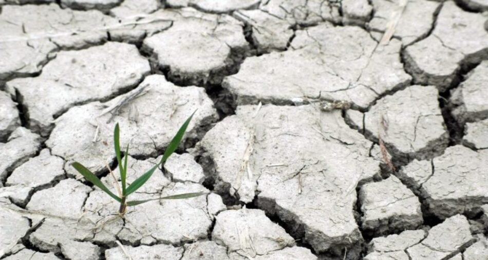 Entrevista al profesor y escritor Matthew T. Huber. El cambio climático como lucha de clases