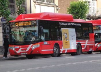 La Plataforma en Defensa del Transporte Público en Murcia ante la publicación de los pliegos para la adjudicación de la Nueva red de transporte público colectivo