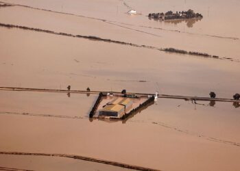 La DANA de Valencia dañó gravemente el humedal de la Albufera y urge restaurarlo