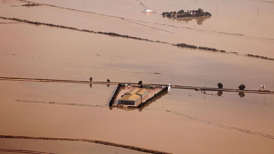 La DANA de Valencia dañó gravemente el humedal de la Albufera y urge restaurarlo