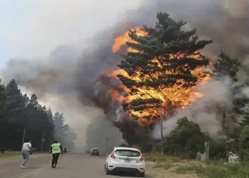 América del Sur y el cambio climático: Inundaciones en Brasil e incendios en Argentina