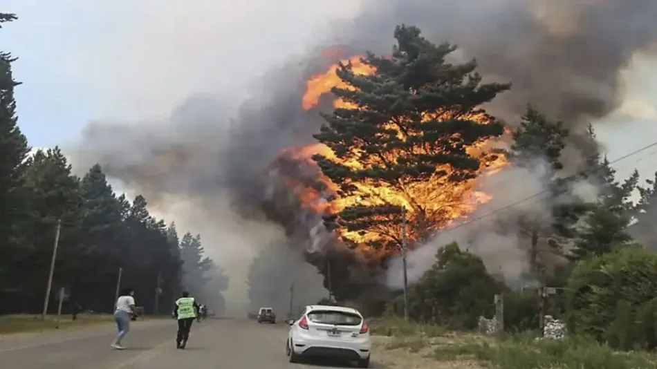 América del Sur y el cambio climático: Inundaciones en Brasil e incendios en Argentina