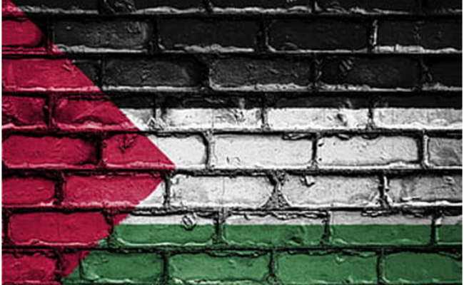 Repaso al año en Palestina: genocidio, resistencia y preguntas sin respuestas