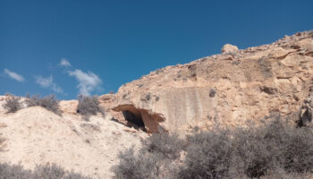 PACMA alerta de un posible colapso medioambiental de la provincia de Almería