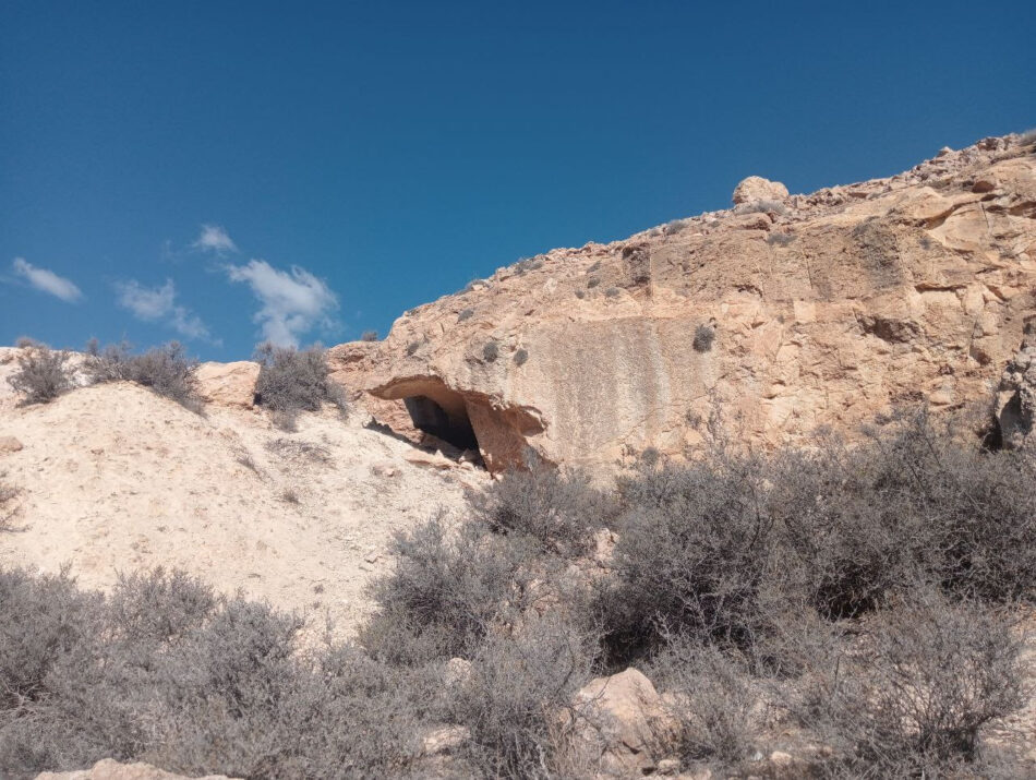 PACMA alerta de un posible colapso medioambiental de la provincia de Almería