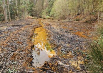 Ecoloxistas en Acción xunto coa Plataforma veciñal mina Touro O Pino Non impugnan a tramitación da mina de Touro