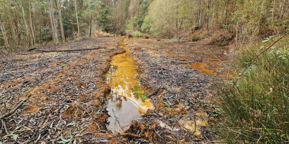 Ecoloxistas en Acción xunto coa Plataforma veciñal mina Touro O Pino Non impugnan a tramitación da mina de Touro