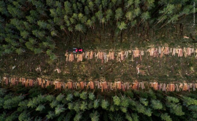 40 organizaciones europeas exigen que se regulen los riesgos reales para el medio ambiente y los derechos humanos en el reglamento contra la deforestación