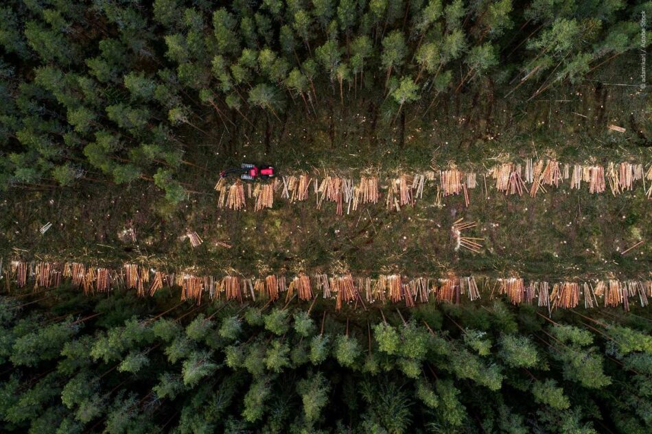 40 organizaciones europeas exigen que se regulen los riesgos reales para el medio ambiente y los derechos humanos en el reglamento contra la deforestación