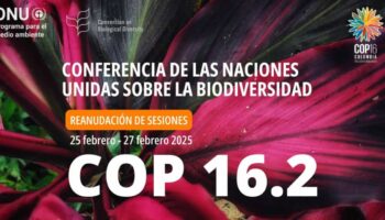 La segunda parte de la Cumbre Mundial de Biodiversidad (COP16) se celebra en Roma del 25 al 27 de febrero con importantes temas sobre la mesa