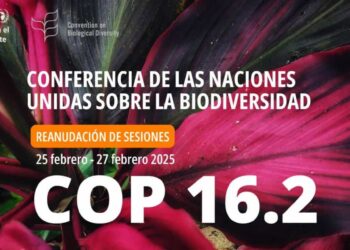 La segunda parte de la Cumbre Mundial de Biodiversidad (COP16) se celebra en Roma del 25 al 27 de febrero con importantes temas sobre la mesa