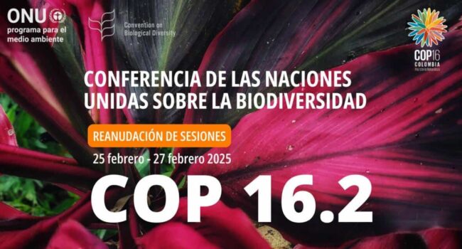 La segunda parte de la Cumbre Mundial de Biodiversidad (COP16) se celebra en Roma del 25 al 27 de febrero con importantes temas sobre la mesa