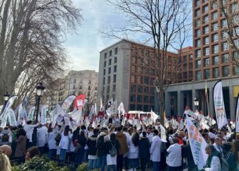 «Por un Estatuto Marco que refleje las necesidades del colectivo médico y mejore la asistencia sanitaria»