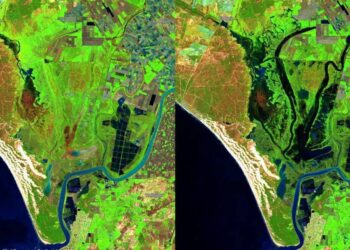 Doñana recoge 300 mm de lluvias desde septiembre, pero continúa con déficit hídrico