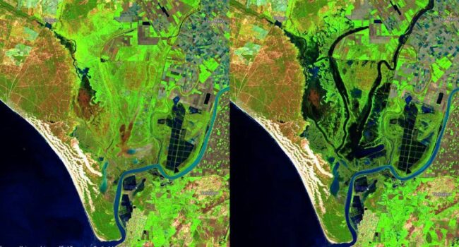 Doñana recoge 300 mm de lluvias desde septiembre, pero continúa con déficit hídrico