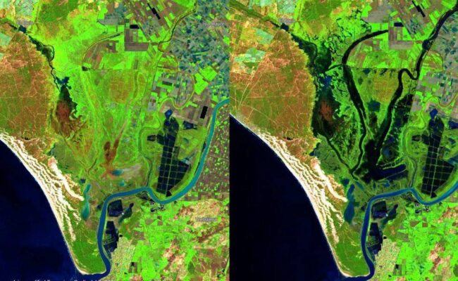 Doñana recoge 300 mm de lluvias desde septiembre, pero continúa con déficit hídrico