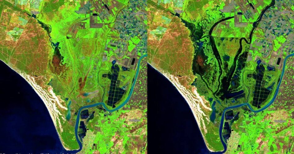 Doñana recoge 300 mm de lluvias desde septiembre, pero continúa con déficit hídrico