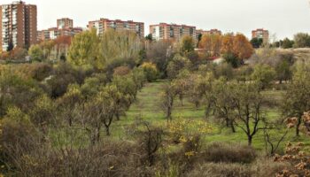 Entidades de Hortaleza entregarán más de 6.000 firmas para proteger Huerta de Mena, la centenaria finca de Los Almendros